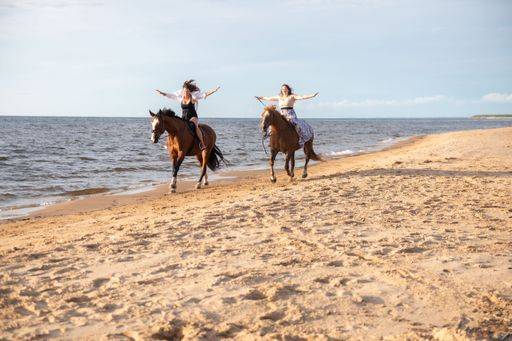 The two young female friends riding horses together on a sunny beach 20953015 ,model released, Symbolfoto RECORD DATE NOT STATED