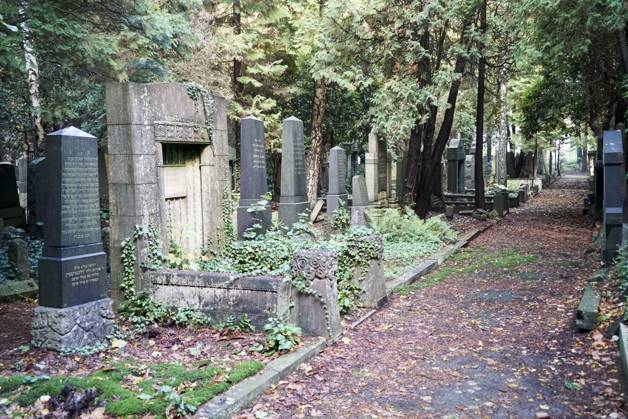 Hamburg Archive image Jewish cemetery 10 23 Jewish Cemetery Hamburg Altona via 400 Years Jewish History the 1611 created Cemetery is one the most important Jewish Cultural monuments Europe here let itself via 400 Years Jewish History and Culture in Hamburg and Altona experience Middle October 2016 dec