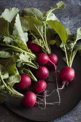IMAGO Creative, Sommer, Food, Radieschen Fresh radishes with leaves on a plate in a studio setting, EVGF04492