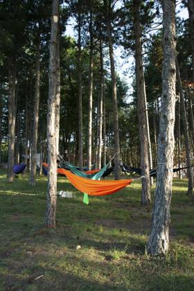Hängematten auf Bäumen im Wald. Sonnenschein am Morgen im Wald. Viele Hängematten. Ruhe im Freien Konzept Hammocks on trees in the forest. Sunshine morning in the forest. Many hammocks. Rest outdoor concept Copyright: imageBROKER DeyanxGeorgiev ibxiqx12788708.jpg