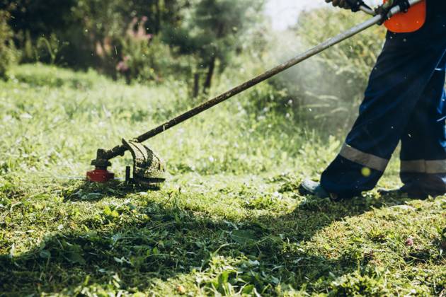 IMAGO Creative, Sommer, Sommertage im Garten Low section of man mowing grassy field in yard during sunset Moscow, Moscow, Russia R_ITUP250108-1622967-01 ,model released, Symbolfoto
