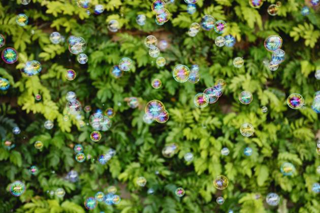 IMAGO Creative, Lifestyle, Feste im Garten #2 Colorful soap bubbles floating in front of leafy green background Indian Wells, California, United States R_XPKR250405-1699159-01