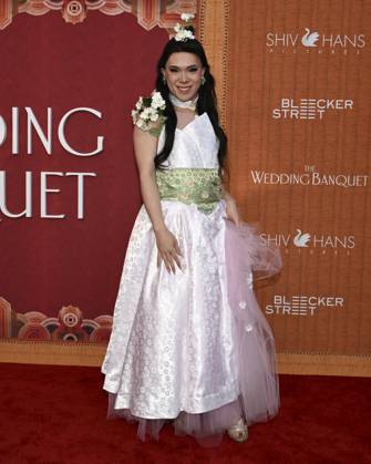 April 14, 2025, Los Angeles, California, USA: Miss Shu Mai attends The Wedding Banquet Los Angeles Premiere. Los Angeles USA - ZUMAb173 20250414_aap_b173_039 Copyright: xBillyxBennightx
