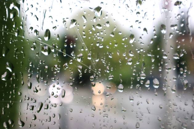 Rain on glass Water droplets collect on a pane of glass
