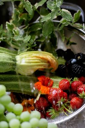 zucchini blossom, berries, mint under water Boise, Idaho, United States R_LEROEZ250507-1716837-01