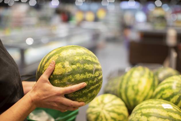 Hände halten eine Wassermelone vor dem Hintergrund einer unscharfen Ladentheke Hands holding a watermelon against the background of a blurred store counter Copyright: imageBROKER Svetlana ibxiqx13313420.jpg