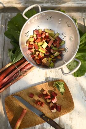 Chopped rhubarb in sieve with knife on wooden board, Hamburg Hamburg Deutschland Altes Land GISF01201