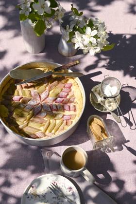 Rhubarb cake and coffee on vintage outdoor table with apple blossoms, Hamburg Hamburg Deutschland Altes Land GISF01228
