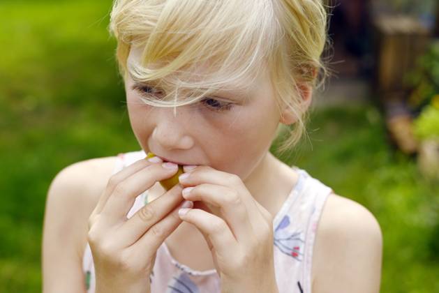 IMAGO Creative, Jahreszeit Sommer, Food, Pflaume Child with blond hair eating plum outdoors during autumn harvest model released, Symbolfoto, Hamburg Hamburg Deutschland Altes Land GISF01234