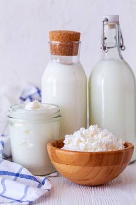 IMAGO Creative, Food, High Protein Frühstück Fermentationsprodukte von Milcherzeugnissen. Kefir, milk, homemade sour cream and cottage cheese are delicious dairy products. Concept of dietary nutrition. (License=RF) Copyright: xZoonar.com MarinaxSaprunovax 24070893