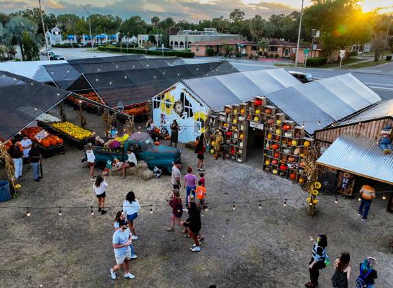 October 27, 2025, St. Petersburg, Florida, USA: An aerial drone view as the sun begins to set at GallagherÃ¢â‚¬â ¢s Pumpkins and Christmas Trees, 7401 4th St. North, on Monday, Oct. 27, 2025 in St. Petersburg. St. Petersburg USA - ZUMAs70_ 20251027_zan_s70_026 Copyright: xDirkxShaddx