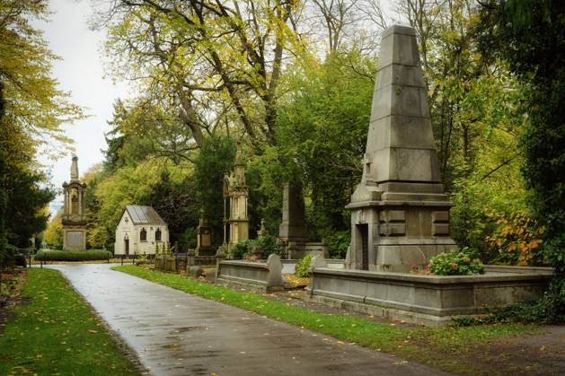 Main axis of Melaten Cemetery Million avenue in Cologne with magnificent Historical Tombs at atmospheric, gentle Light one late October days 1133501430