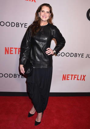 Netflix s Goodbye June NY l screening at the Whitby Hotel on December 8, 2025 in New York city. Brooke Shields at Netflix s Goodbye June NY screening at the Whitby Hotel on December 8, 2025 in New York city., Credit:Darla Khazei Avalon  Copyright: xDarlaxKhazeix xAvalonx 1057840052