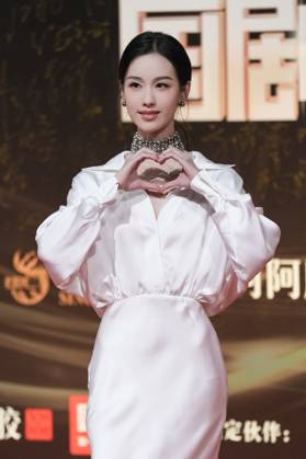 LANGFANG, CHINA - DECEMBER 16: Actress Chen Duling arrives at the red carpet of the Domestic TV Series Ceremony (China TV Drama Awards) on December 16, 2025 in Langfang, Hebei Province of China.  Copyright: xVCGx 111610177101