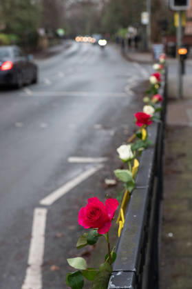 Roses adorn the side of the road ahead of the funeral procession of Gary Mani Mounfield, Bass Player in the Stone Roses and Primal Scream, in Heaton Moor, Stockport on 22 December 2025. 22 12 2025 Stockport Greater Manchester England Heaton Moor  Copyright: xMattxWilkinsonx