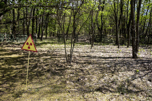 30th anniversary of Chernobyl nuclear disaster CHERNOBYL, UKRAINE - APRIL 27: A view from Chernobyl Exclusion Zone is seen during the 30th anniversary of Chernobyl nuclear disasterin Chernobyl, Ukraine on April 27, 2016. The Chernobyl accident occurred on 26 April 1986 at the Chernobyl Nuclear Power Plant in the city of Pripyat. Kiev Ukraine. Editorial use only. Please get in touch for any other usage.  Copyright: x2025xAnadoluxGökhanxBalcÄ±x