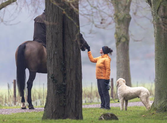 Andrew Mountbatten Windsor 19 01 2026 Andrew Mountbatten Windsor rides with a groom on the Windsor Estate.  Copyright: xDougxSeeburgx NINTCHDBPICT001052598548