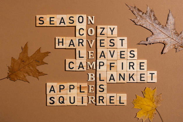 Crossword puzzle made with wooden blocks and leaves A creative crossword puzzle composed of wooden blocks arranged on a brown background, adorned with autumn leaves. The words evoke a cozy, seasonal atmosphere. Model Released Yanishevska_ID32728_1114259_014 Copyright: xYanishevskax RECORD DATE NOT STATED