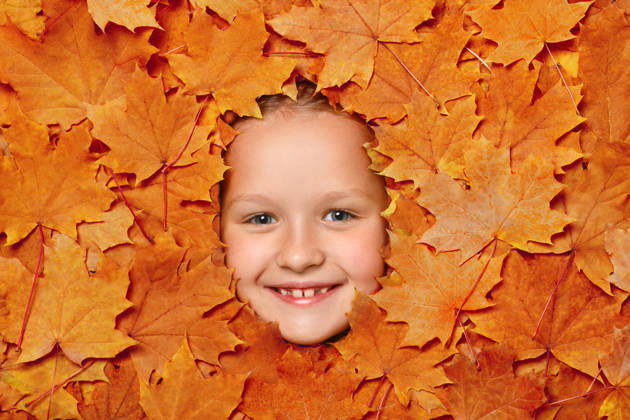 Süßes, fröhliches kleines Mädchen in Herbstlaub. Ansicht des Kindes von oben. Cute happy little girl face in autumn leaves. Top view of the child. (License=RF) ,model released, Symbolfoto Copyright: xZoonar.com OlgaxNikiforovax 24692402 ,model released, Symbolfoto ,property released