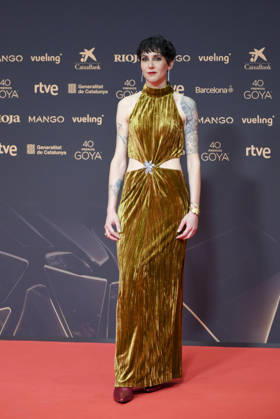 Red carpet of the Goya Awards 2026 Composer Paloma Penarrubia poses on the red carpet of the 40th edition of the Goya Awards, at the Auditori del Centre de Convencions Internacionals, on February 28, 2026, in Barcelona, Cataluna Spain The awards are given annually by the Academy of Motion Picture Arts and Sciences of Spain AACCE with the aim of rewarding the best professionals in each of the various technical and creative specialties of Spanish cinema 28 FEBRUARY 2026 Barcelona, Cataluna Barcelona, Cataluna Espana  Copyright: xAlbertoxParedesx 7327908