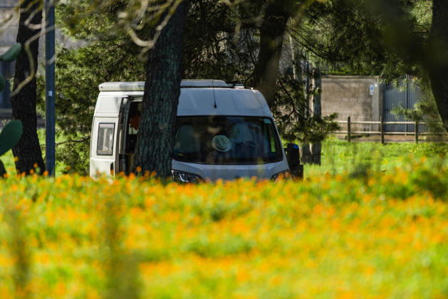 A campervan stands between trees in the middle of a marigold meadow in Salento, Apulia, Italy A campervan stands in the natural landscape next to a flower meadow