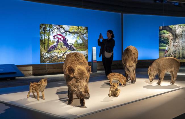 New exhibition in the Gasometer Oberhausen, Mythos Wald, on 3 levels and with several thematic chapters, the exhibition shows the diversity of the worlds forests with pictures, videos and exhibits, NRW, Germany, Mythos Wald Oberhausen