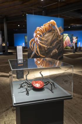 New exhibition in the Gasometer Oberhausen, Mythos Wald, on 3 levels and with several thematic chapters, the exhibition shows the diversity of the worlds forests with pictures, videos and exhibits, NRW, Germany, Mythos Wald Oberhausen