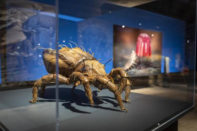 New exhibition in the Gasometer Oberhausen, Mythos Wald, on 3 levels and with several thematic chapters, the exhibition shows the diversity of the worlds forests with pictures, videos and exhibits, NRW, Germany, Mythos Wald Oberhausen