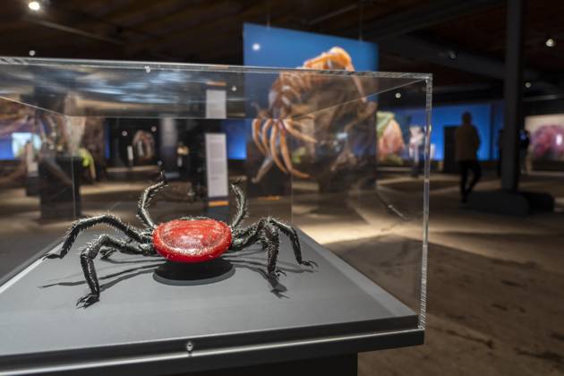 New exhibition in the Gasometer Oberhausen, Mythos Wald, on 3 levels and with several thematic chapters, the exhibition shows the diversity of the worlds forests with pictures, videos and exhibits, NRW, Germany, Mythos Wald Oberhausen