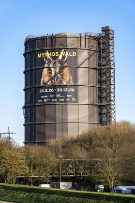 New exhibition in the Gasometer Oberhausen, Mythos Wald, on 3 levels and with several thematic chapters, the exhibition shows the diversity of the worlds forests with pictures, videos and exhibits, NRW, Germany, Mythos Wald Oberhausen