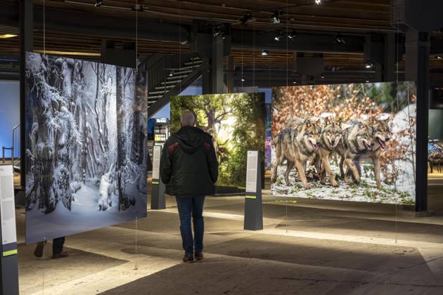New exhibition in the Gasometer Oberhausen, Mythos Wald, on 3 levels and with several thematic chapters, the exhibition shows the diversity of the worlds forests with pictures, videos and exhibits, NRW, Germany, Mythos Wald Oberhausen