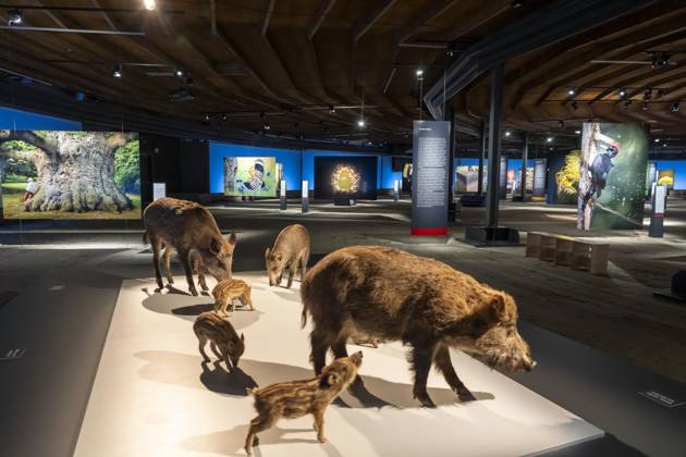 New exhibition in the Gasometer Oberhausen, Mythos Wald, on 3 levels and with several thematic chapters, the exhibition shows the diversity of the worlds forests with pictures, videos and exhibits, NRW, Germany, Mythos Wald Oberhausen
