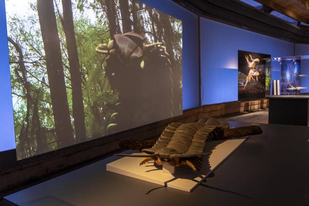 New exhibition in the Gasometer Oberhausen, Mythos Wald, on 3 levels and with several thematic chapters, the exhibition shows the diversity of the worlds forests with pictures, videos and exhibits, NRW, Germany, Mythos Wald Oberhausen