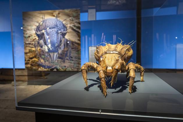 New exhibition in the Gasometer Oberhausen, Mythos Wald, on 3 levels and with several thematic chapters, the exhibition shows the diversity of the worlds forests with pictures, videos and exhibits, NRW, Germany, Mythos Wald Oberhausen