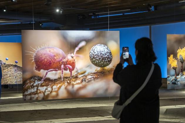 New exhibition in the Gasometer Oberhausen, Mythos Wald, on 3 levels and with several thematic chapters, the exhibition shows the diversity of the worlds forests with pictures, videos and exhibits, NRW, Germany, Mythos Wald Oberhausen