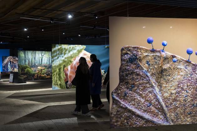 New exhibition in the Gasometer Oberhausen, Mythos Wald, on 3 levels and with several thematic chapters, the exhibition shows the diversity of the worlds forests with pictures, videos and exhibits, NRW, Germany, Mythos Wald Oberhausen