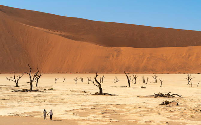 Ancient trees and dune in Deadvlei, Sossusvlei Namibia Sossusvlei, Hardap Region, Namibia CR_CYCY260328A-1987449-01