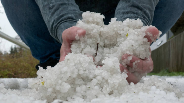 Kräftige Gewitter und Unwetter haben das Frühlingswetter am Wochenende beendet. Gegen 12 Uhr zog eine Gewitterfront aus Westen auf und leitete einen Temperatursturz ein. Über Zwönitz entluden sich heftige Regenfälle und bis zu 1 cm großer Hagel. Das Unwetter sorgte für eine Winterlandschaft im Ort. Dächer, Spielplätze und Wiesen waren vom Hagel bedeckt. Auf den Straßen wurde es gefährlich glatt. Der Starkregen führte ebenfalls zu leichten Überflutungen. Der Sturm warf einige Verkehrsschilder um. Mit Durchzug der Kaltfront sank das Thermometer auf nur noch 5 Â°C. Frühblüher, wie Narzissen, Tulpen oder Stiefmütterchen wurden von dem Hagel in Mitleidenschaft gezogen. Größere Schäden blieben zum Glück aus. Zwönitz Sachsen