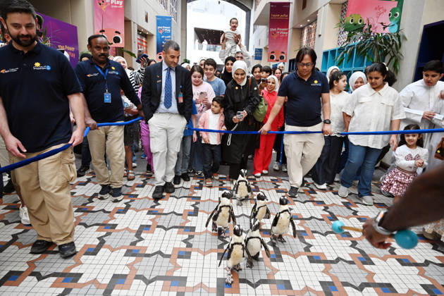 (260421) -- HAWALLI GOVERNORATE, April 21, 2026 -- People walk with penguins during a Penguin Walk interactive activity under staff guidance at the Scientific Center in Hawalli Governorate, Kuwait, April 21, 2026. The Scientific Center of Kuwait has recently launched a Penguin Walk interactive program, allowing visitors to observe penguins up close under staff supervision while learning about their habits and marine conservation. (Photo by Xinhua) KUWAIT-HAWALLI GOVERNORATE-PENGUIN WALK EXPERIENCE Asad 