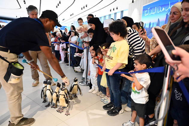 (260421) -- HAWALLI GOVERNORATE, April 21, 2026 -- People watch penguins during a Penguin Walk interactive activity under staff guidance at the Scientific Center in Hawalli Governorate, Kuwait, April 21, 2026. The Scientific Center of Kuwait has recently launched a Penguin Walk interactive program, allowing visitors to observe penguins up close under staff supervision while learning about their habits and marine conservation. (Photo by Xinhua) KUWAIT-HAWALLI GOVERNORATE-PENGUIN WALK EXPERIENCE Asad 