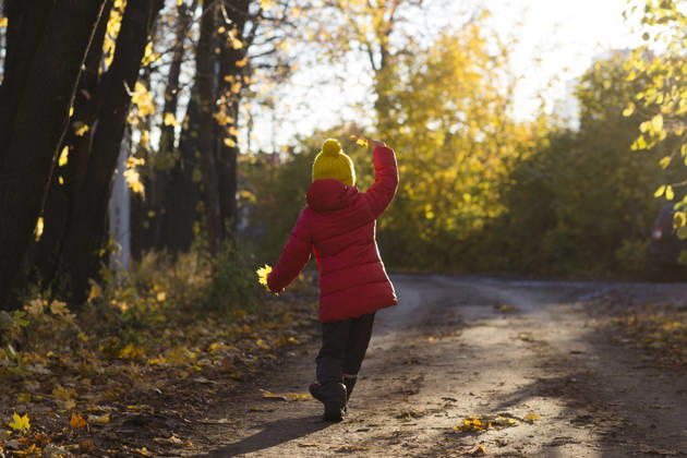 Ein fröhliches kleines Mädchen in einer roten Jacke und einem gelben Hut hält herbstgelbe Blätter in der Hand und spielt im herbstlichen Park cheerful little child girl in a red jacket and yellow hat holds autumn yellow leaves and plays in the autumn park (License=RF) ,model released, Symbolfoto Copyright: xZoonar.com UliaxZotaninax 24984394 ,model released, Symbolfoto ,property released