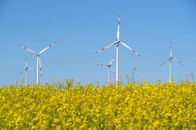 Cultural landscape with Wind turbines and flourishing Rape field, Sustainable Energy generation, Agriculture at May 1131609461