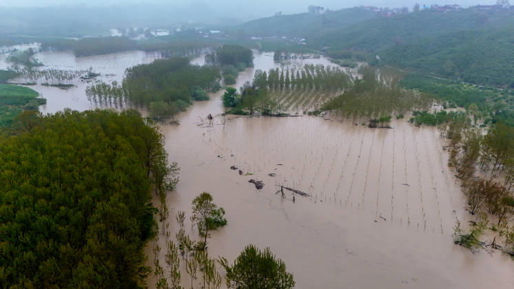 Heavy rain causes flooding in Turkiye s Sakarya SAKARYA, TURKIYE - MAY 4: An aerial view of flooded agricultural land and residential areas after the Melen River overflowed due to heavy rainfall in Sakarya, Turkiye, on May 4, 2026. Basements of some homes and nearby fields were inundated, while standing water also accumulated in school and mosque courtyards. Davut Genc Anadolu Sakarya Turkey. Editorial use only. Please get in touch for any other usage.  Copyright: x2026xAnadoluxDavutxGencx