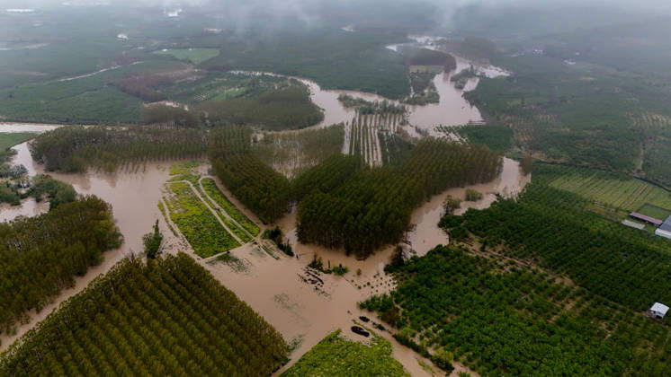 Heavy rain causes flooding in Turkiye s Sakarya SAKARYA, TURKIYE - MAY 4: An aerial view of flooded agricultural land and residential areas after the Melen River overflowed due to heavy rainfall in Sakarya, Turkiye, on May 4, 2026. Basements of some homes and nearby fields were inundated, while standing water also accumulated in school and mosque courtyards. Davut Genc Anadolu Sakarya Turkey. Editorial use only. Please get in touch for any other usage.  Copyright: x2026xAnadoluxDavutxGencx