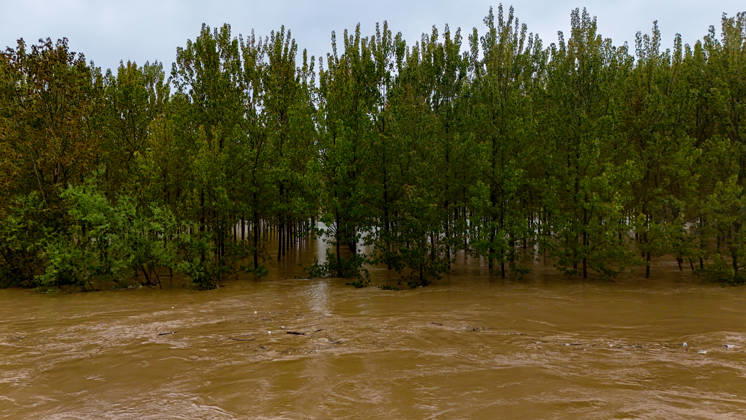 Heavy rain causes flooding in Turkiye s Sakarya SAKARYA, TURKIYE - MAY 4: An aerial view of flooded agricultural land and residential areas after the Melen River overflowed due to heavy rainfall in Sakarya, Turkiye, on May 4, 2026. Basements of some homes and nearby fields were inundated, while standing water also accumulated in school and mosque courtyards. Davut Genc Anadolu Sakarya Turkey. Editorial use only. Please get in touch for any other usage.  Copyright: x2026xAnadoluxDavutxGencx