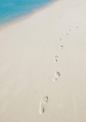tropical beach with white sand at summer model released Symbolfoto Copyright: xdotshockx Panthermedia69404446.jpg