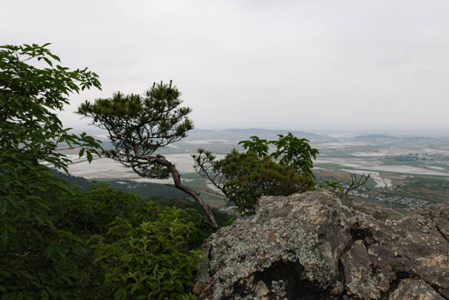PYONGYANG - MAY 23, 2026: A view from Mount Ryonggaksan (Dragon Mountain). Stanislav Varivoda TASS  92923577