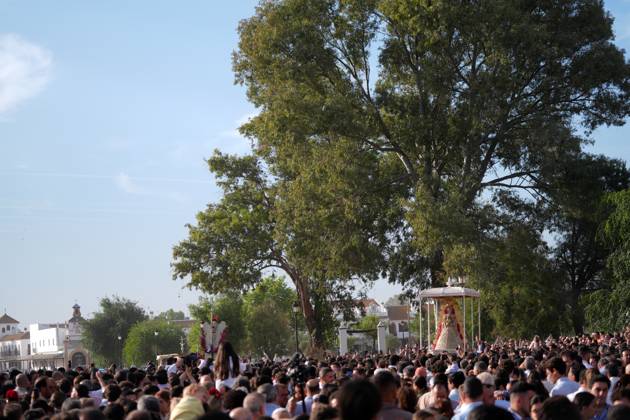 La Virgen del Rocio procession after jumping the fence at 3 08 hours La Virgen del Rocio procession through the village on his visit to the 127 affiliates A May 25, 2026 in El Rocio, Huelva Andalusia, Spain La Virgen del Rocio has left his hermitage about 03.08 hours this Monday, Day of Pentecost, to go through the village of Almonte Huelva and procession in her visit to the 127 affiliates who have made the pilgrimage there for yet another year. The Patroness of Almote is dressed in the full dress of the Montpensier family, recently restored at the Andalusian Institute of Historical Heritage 25 MAY 2026 Joaquín Arjona 25 05 2026 El Rocio, Huelva Andalucia, Esp El Rocio, Huelva Andalucia, Espana Copyright: xJoaquinxArjonax 7548198