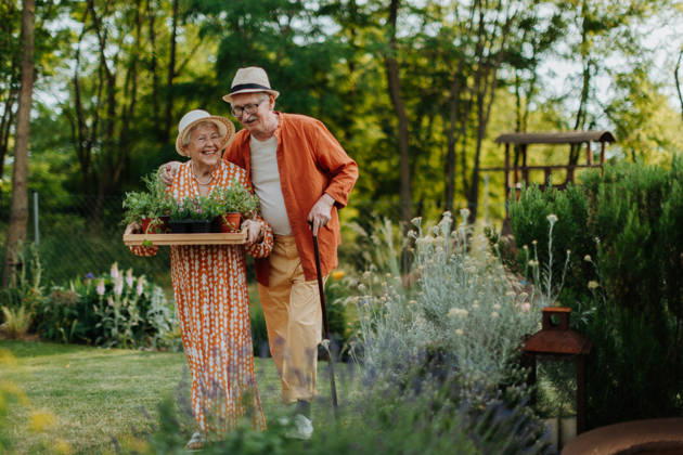 Senior couple working in garden during spring day. Senior couple working in garden during spring day. Hobby for elderly. model released