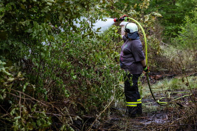 Forest fire near Weiterstadt On 29 05 2026, a forest fire broke out in Weiterstadt Gräfenhausen west of the A5 freeway It affected a forest area of around 900 square meters between the Gräfenhausen West servic